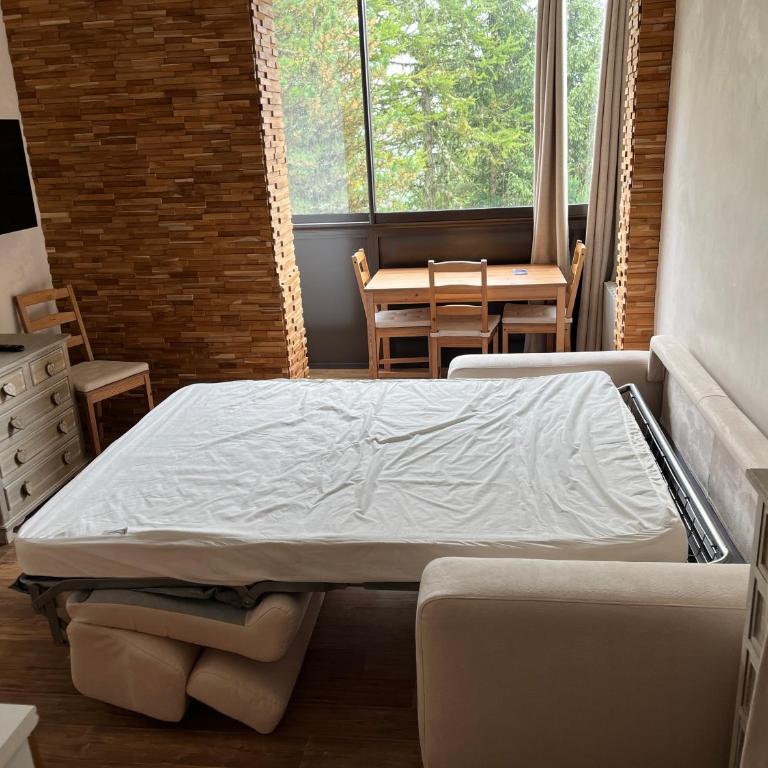 Studio cosy proche des pistes - Appartamento con 1 Camera da Letto - 10