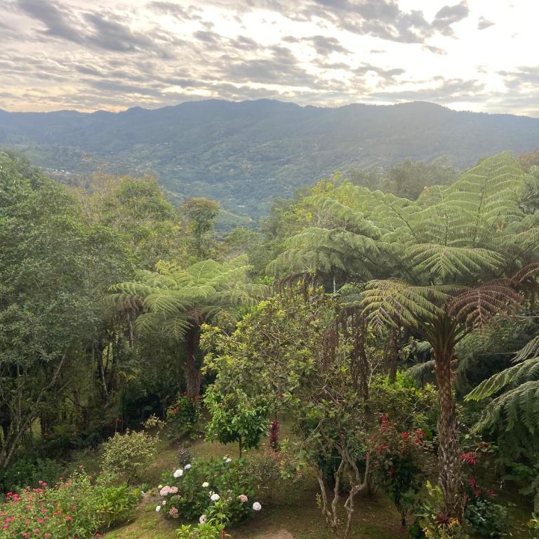 Casa Ashraya ecolodge - Villa de 1 dormitorio - 4