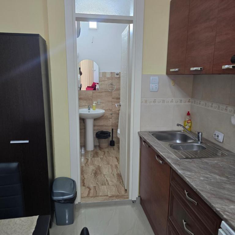 APARTMANSKI SMEŠTAJ SOLARIS kod Aqua Parka Lux Apartman LAZAR - Apartman - 52