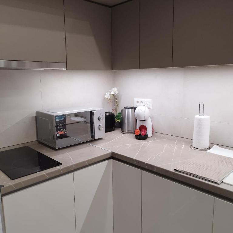 Kalemegdan Park Residence - new luxury apartment - Apartman sa 1 Spavaćom Sobom - 9