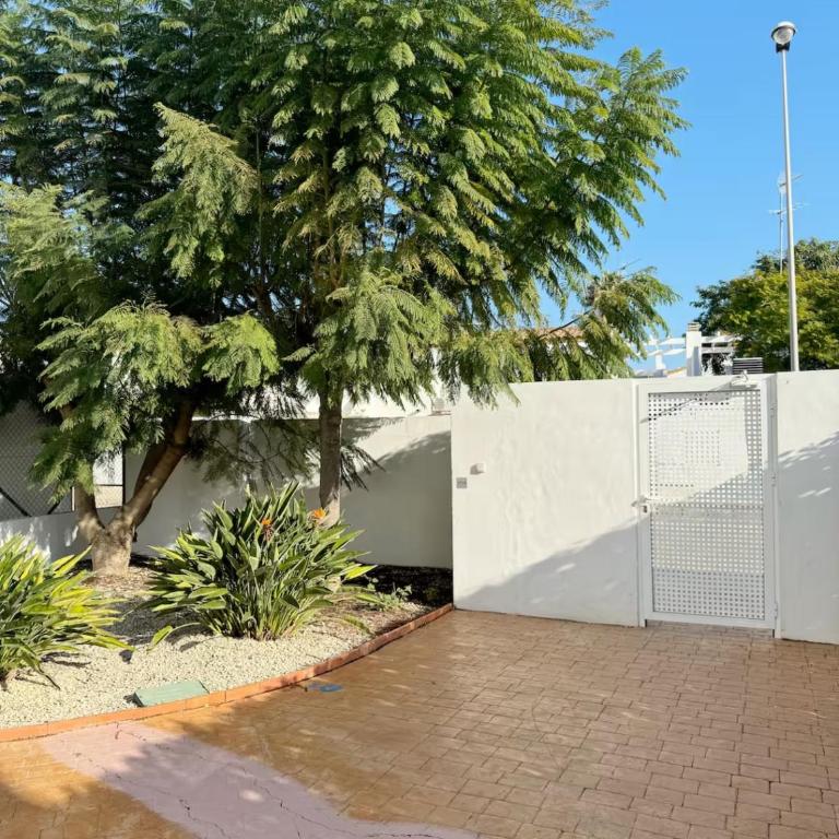 Petite Paradise Oliva - Apartamento de 1 dormitorio - 67