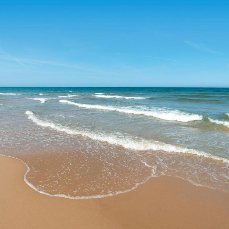 Petite Paradise Oliva - Apartamento de 1 dormitorio - 75