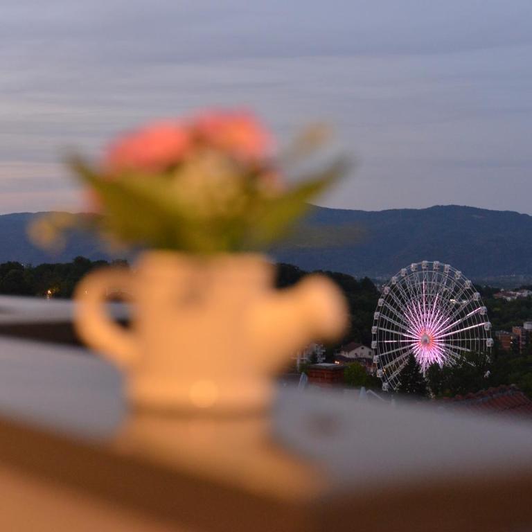 Apartman NIKOLINA - Apartman sa 1 Spavaćom Sobom - 44