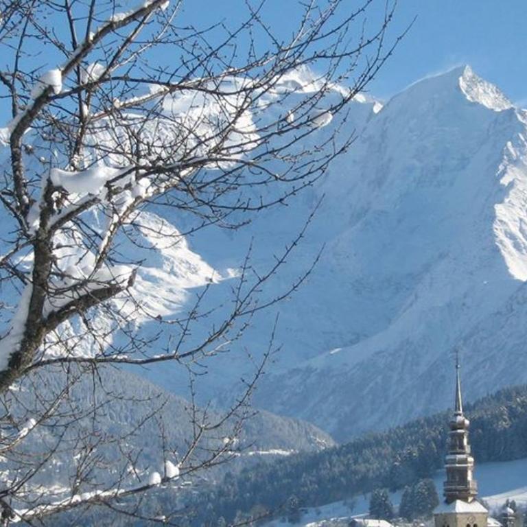 Appartement 10 personnes au pied des pistes vue Mont Blanc - Appartement avec Vue sur la Montagne - 26