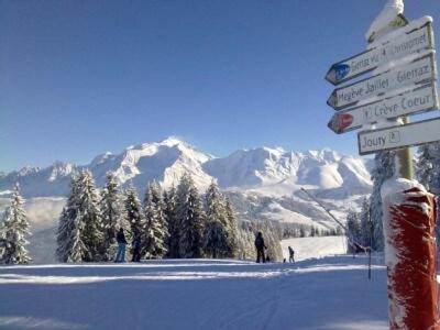 Appartement 10 personnes au pied des pistes vue Mont Blanc - Appartement avec Vue sur la Montagne - 25