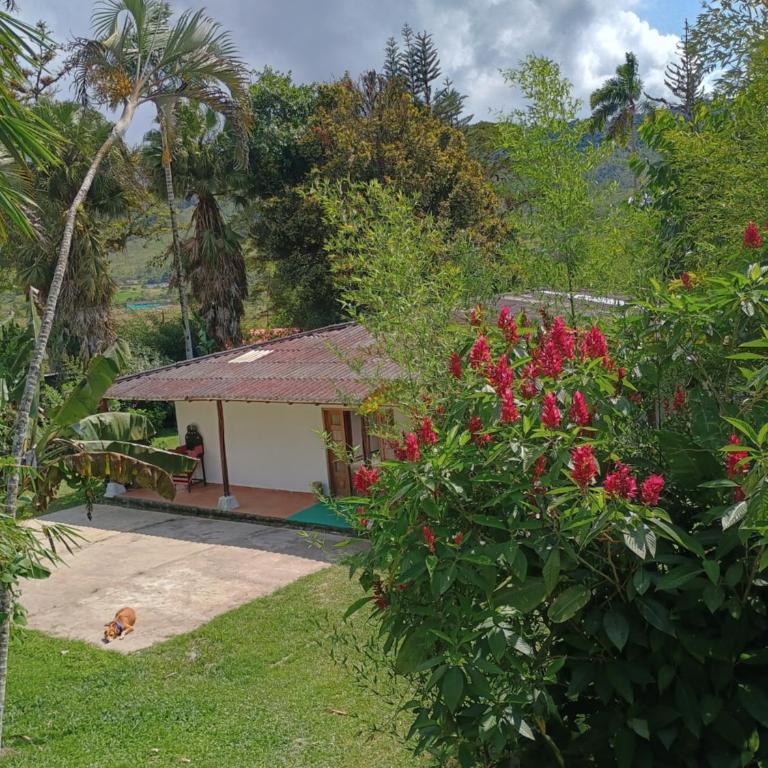 El Queremal ecopolis - Casa de 4 dormitorios - 61