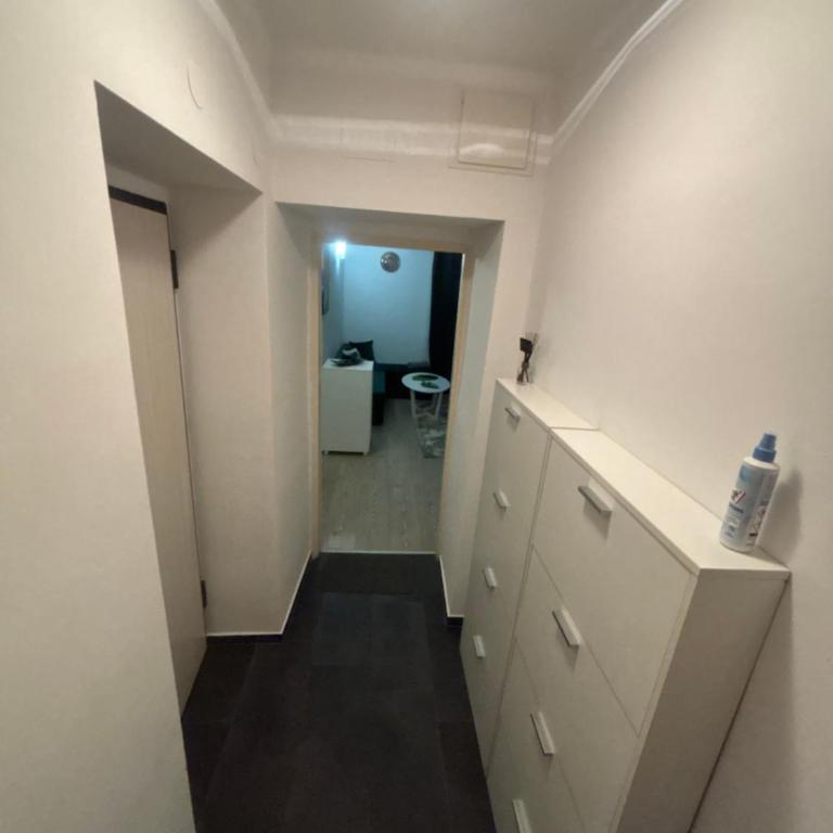 Sarajevo Festival Apartment - Apartman sa 1 Spavaćom Sobom - 5