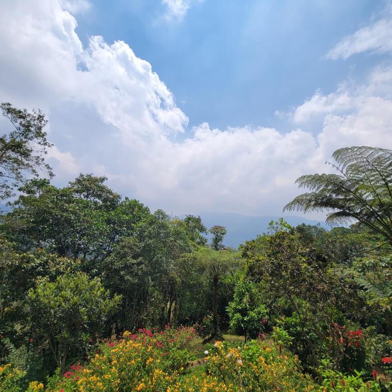 Casa Ashraya - Habitación Doble con vistas a la montaña - 2