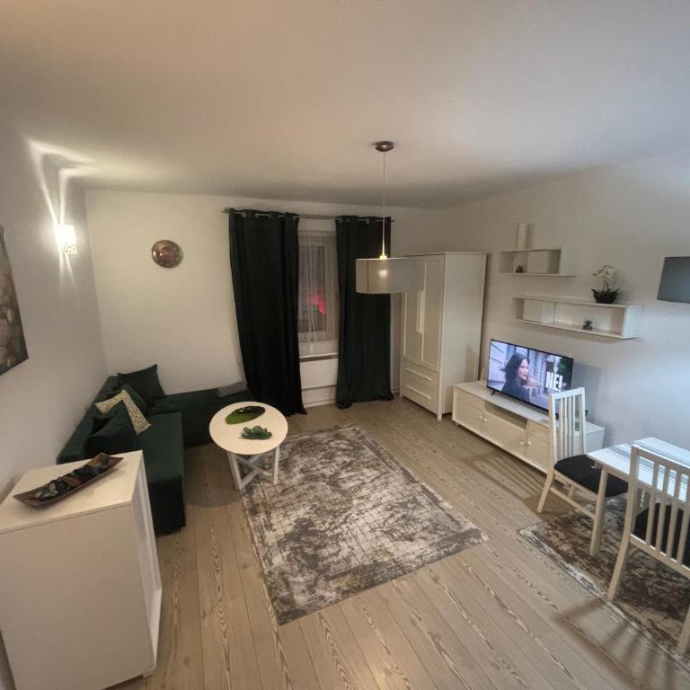 Sarajevo Festival Apartment - Apartman sa 1 Spavaćom Sobom - 1