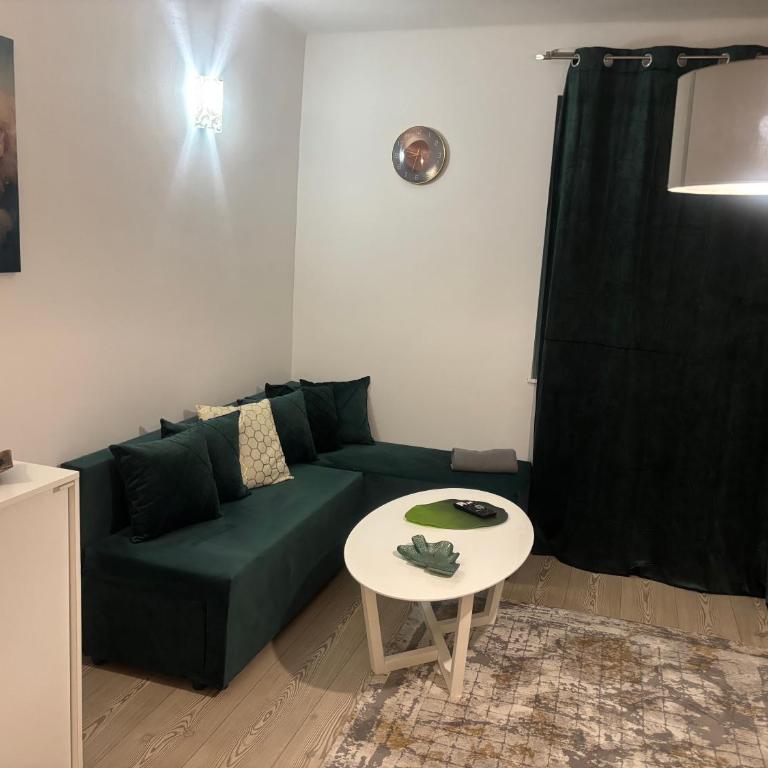 Sarajevo Festival Apartment - Apartman sa 1 Spavaćom Sobom - 2