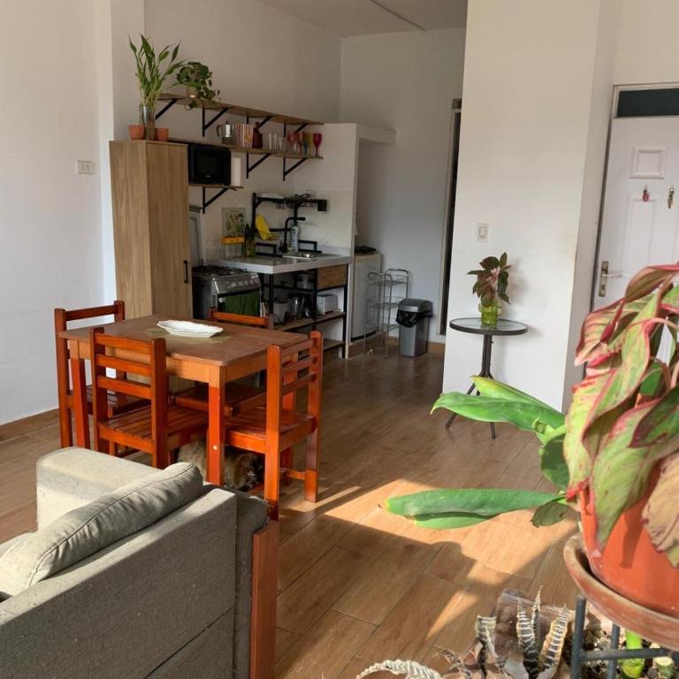 Apartment in Plaza de La Banda de Shilcayo - Apartamento de 1 dormitorio - 23