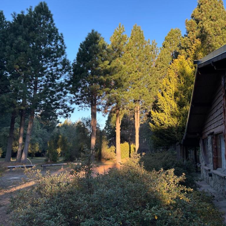 Cabañas del Angel - Chalet de 1 dormitorio - 11