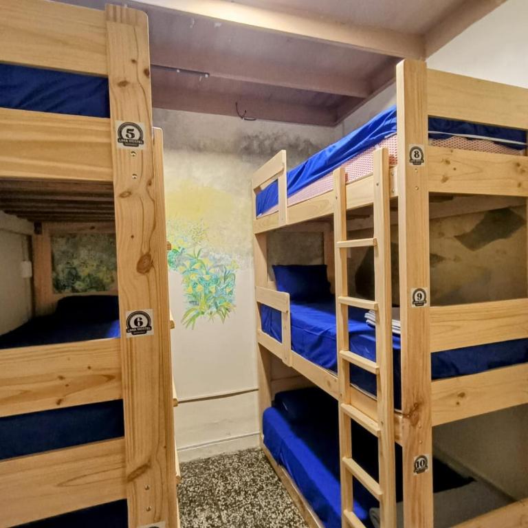 Lima Hostel - Barranco - Bed in 6-Bed Mixed Dormitory Room - 5