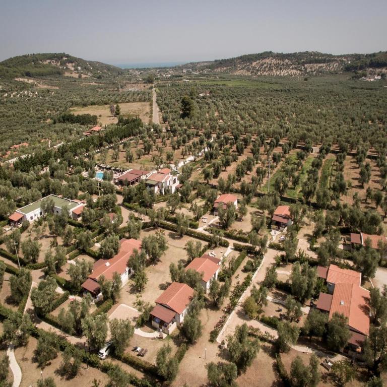 Farmhouse in Vieste near Gargano Park - One-Bedroom Apartment - 30