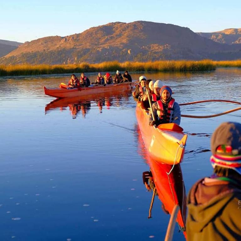 Cristallina downtown - Apartamento de 1 dormitorio - 3