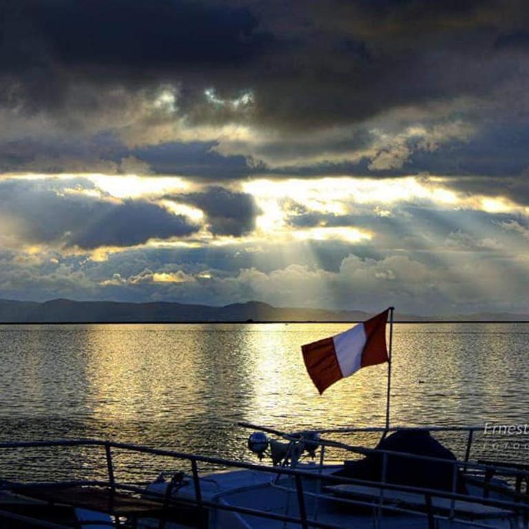 Cristallina downtown - Apartamento de 1 dormitorio - 8