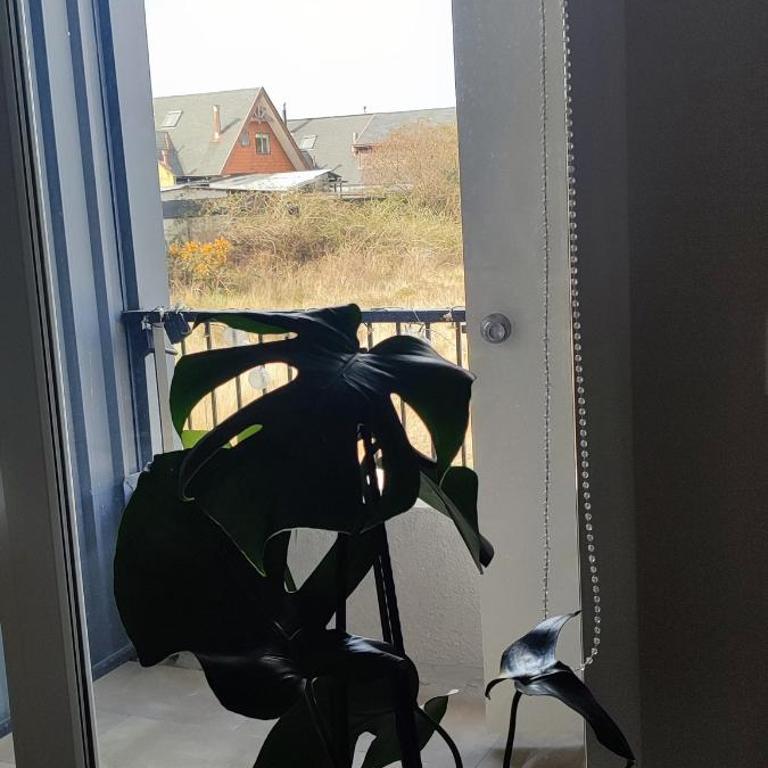 Departamento para 2 personas - Apartamento de 1 dormitorio - 45