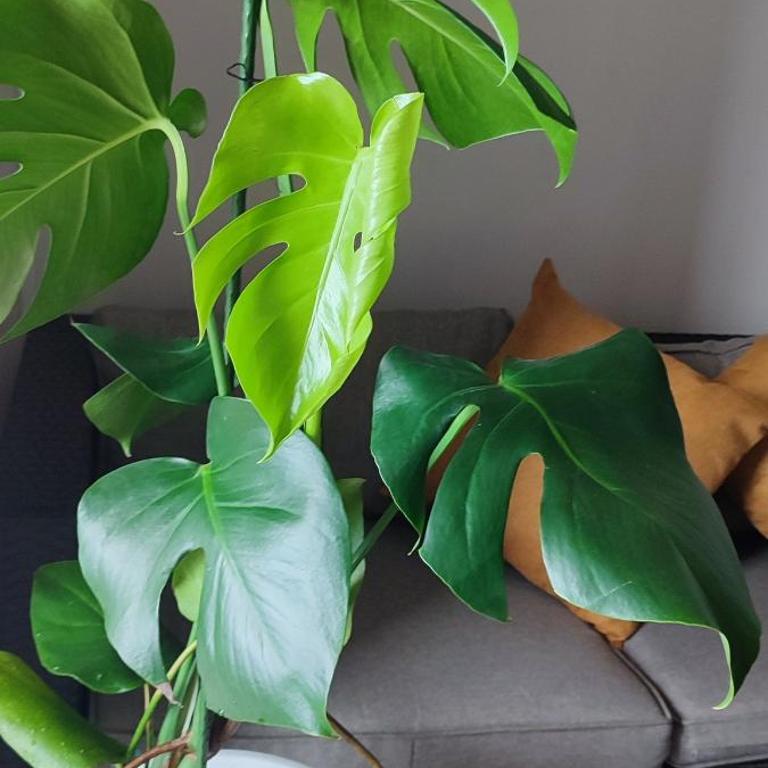 Departamento para 2 personas - Apartamento de 1 dormitorio - 44