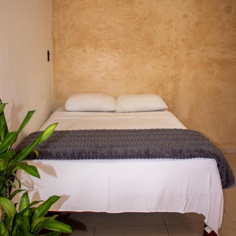 Departamentos Ixchel - Apartamento de 1 dormitorio - 1