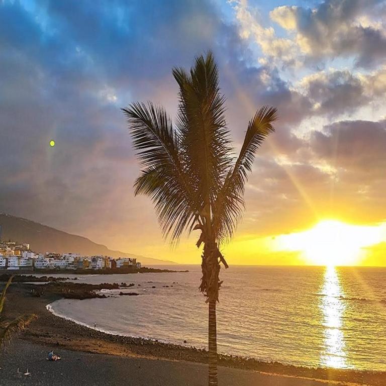 Holiday Home in Puerto near Playa Jardín - Casa de vacaciones de 2 dormitorios - 36