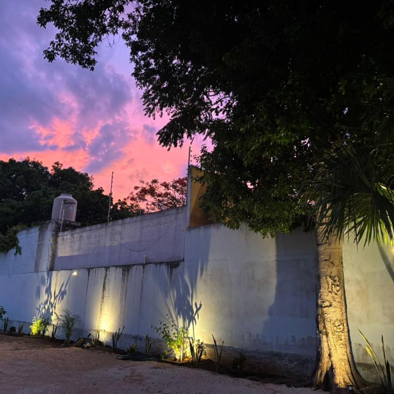 Departamentos Ixchel - Apartamento de 1 dormitorio - 3