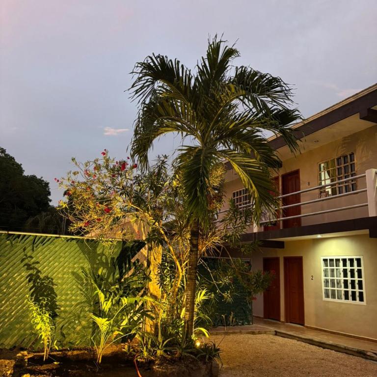 Departamentos Ixchel - Apartamento de 1 dormitorio - 6