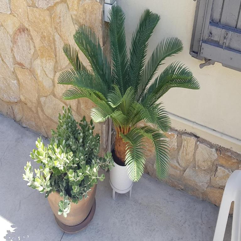 Villa in Sant Feliu with Private Pool - Villa de 3 dormitorios - 30