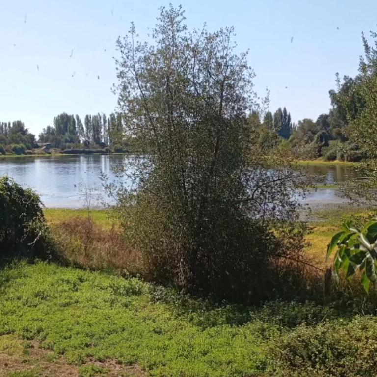 La laguna Parral - One-Bedroom House - 5