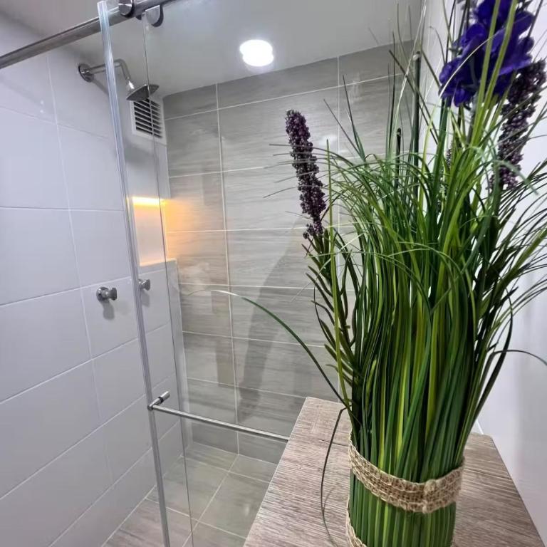 Moderno y Cómodo! Apartamento 2 hab en excelente ubicación - Apartamento de 2 dormitorios - 14