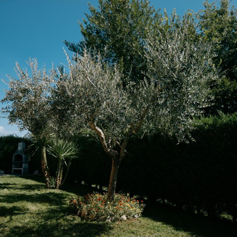 Riva Serena - Appartamento Palma - Appartamento con 1 Camera da Letto - 42
