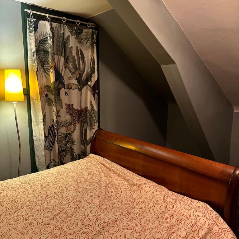 Bed and birds - Villa - 25