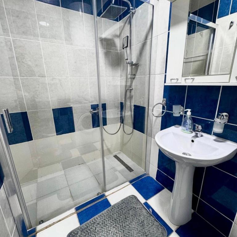 Central Apartman Novi Sad - Apartman sa 1 Spavaćom Sobom - 5