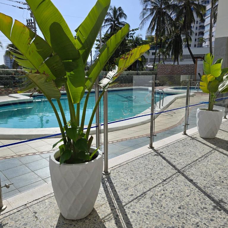 Moderna suite con balcón a pasos de la playa - One-Bedroom Apartment - 15