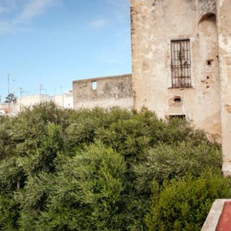 Rustico C - Apartamento de 2 dormitorios - 18