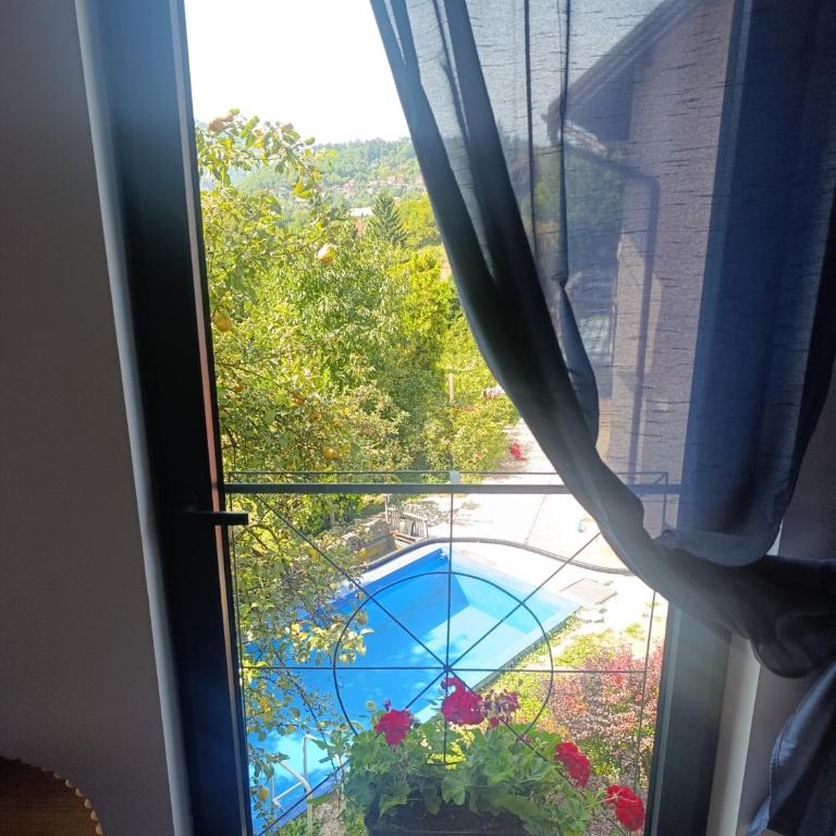 Sarajevo Hills-POOL&JACUZZI private garden Home-Near Old Town - One-Bedroom Apartment - 30