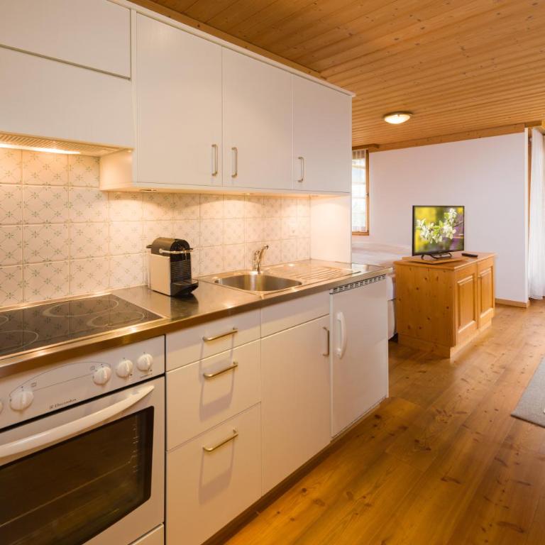 Telemark - Studio mit Balkon - 4