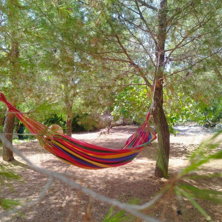 barnabeto country - Appartamento con 1 Camera da Letto - 24