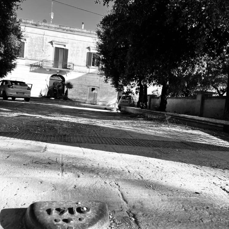 barnabeto country - Appartamento con 1 Camera da Letto - 35