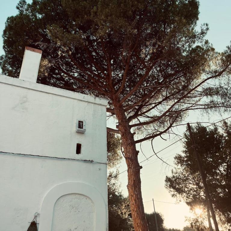 barnabeto country - Appartamento con 1 Camera da Letto - 36