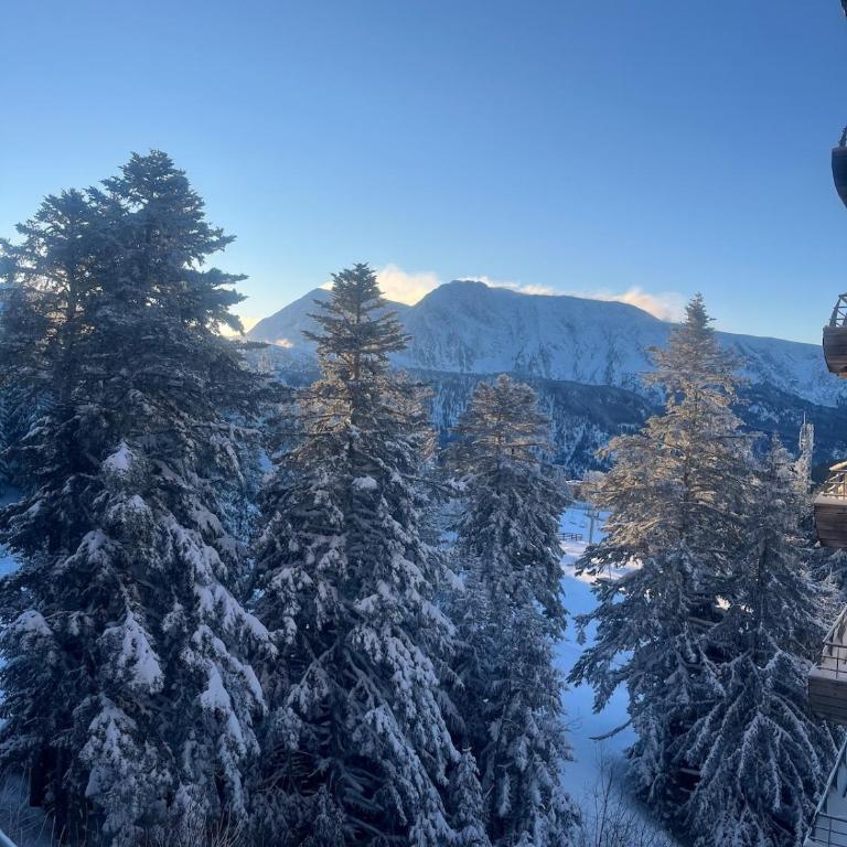 Bel Appartement 6 personnes au pied des pistes - Appartamento - 10