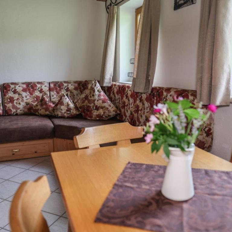 Hafnerlehen - Apartment mit Blick auf die Berge - 2
