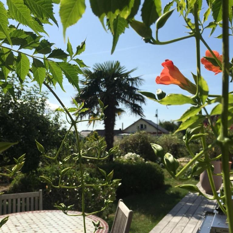 Nos Maisons Cosy - Arzon - Maison 5 Chambres - 27