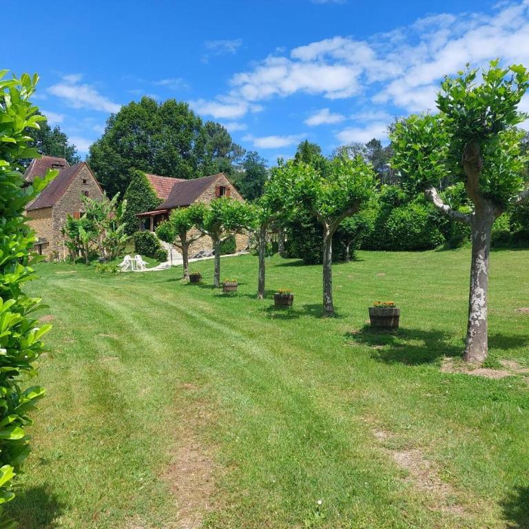 Les Platanes à Sarlat - Vacation Home - 2