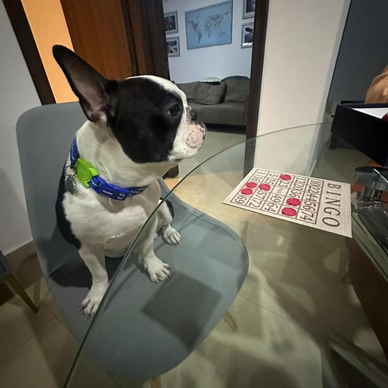 Comfortable apartment of Playa en Punta Blanca - Ecuador - Apartamento de 2 dormitorios - 23