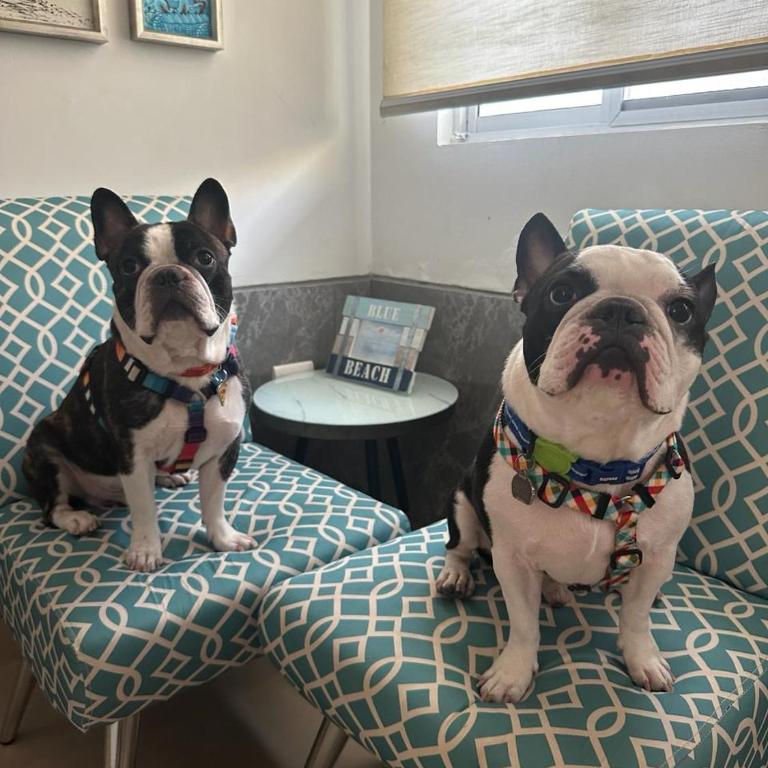 Comfortable apartment of Playa en Punta Blanca - Ecuador - Apartamento de 2 dormitorios - 41