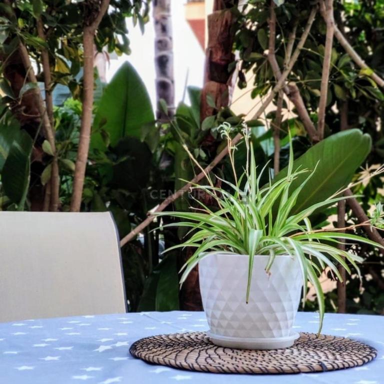 Torremolinos beach apartment 200 mts del mar - Apartamento de 1 dormitorio - 17