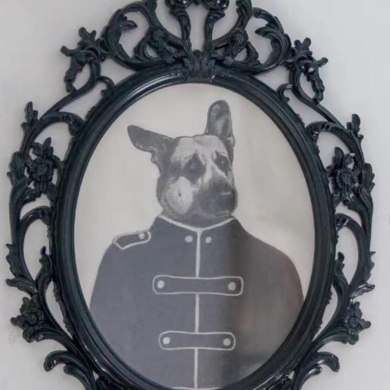 Dog Admiral - Urban Guest House - Habitación Doble Económica - 22