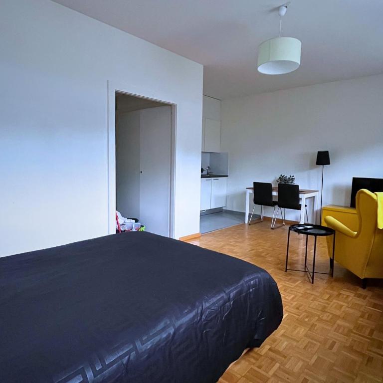HSH Elegant Vaudois - Superior Studio - 10