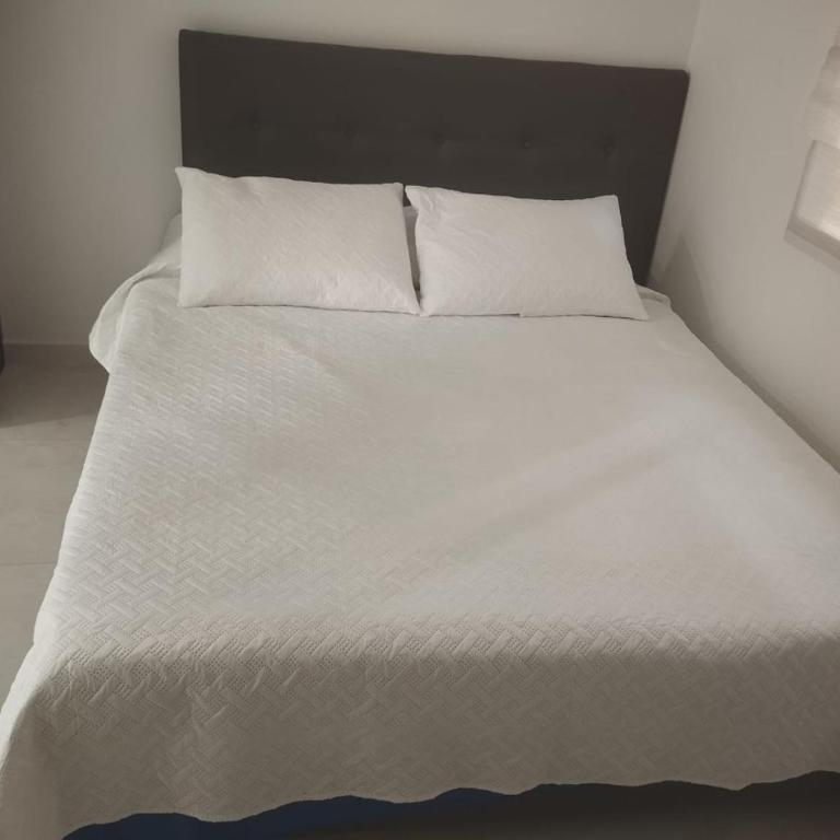 Confort en zona ecológica, Loft en Pilarica 2 - Apartamento Deluxe de 1 dormitorio - 3