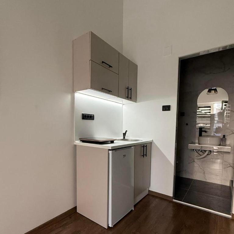 Central Green Apartman Novi Sad - Apartman sa 1 Spavaćom Sobom - 4